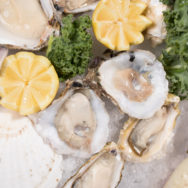 Sierra Gold Seafood Oysters