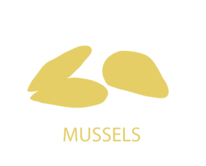 Mussels