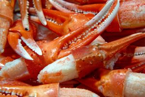 Snow Crab Claw shutterstock_2328149381 1200x800
